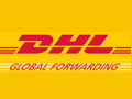 DHL（波兰件）